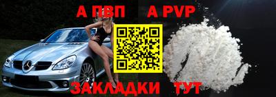 стафф Шелехов
