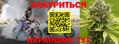 стафф Шелехов