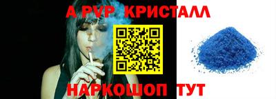 стафф Шелехов