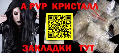 стафф Шелехов