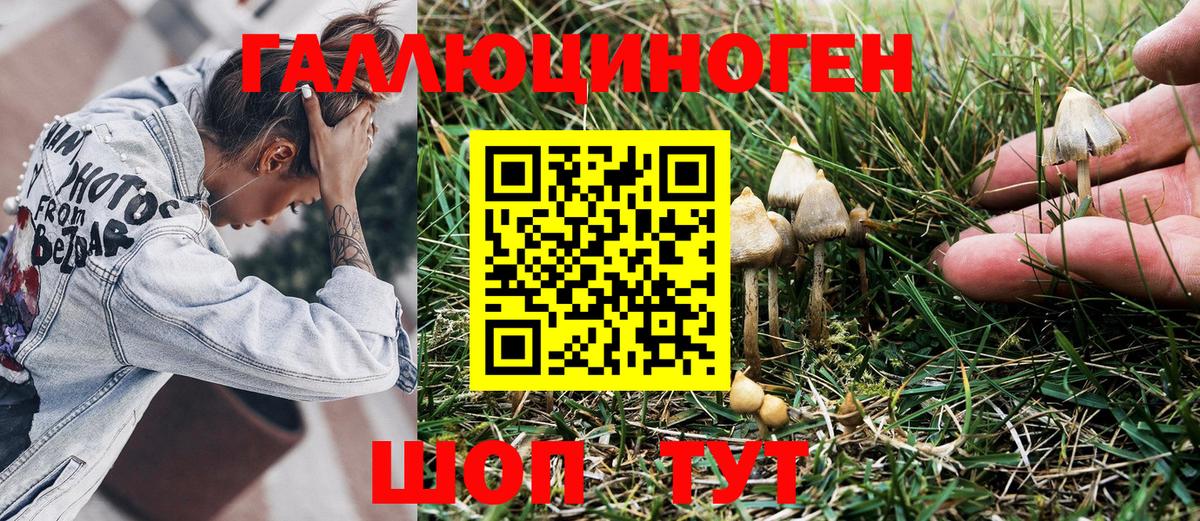 Галлюциногенные грибы мухоморы Алейск